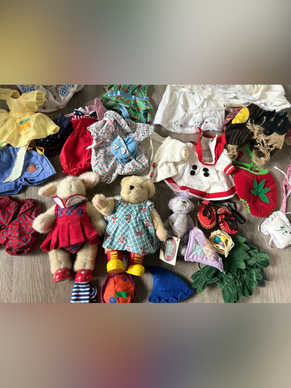 Muffy Vanderbear Trunk Bear & Hoppy Vanderhare / outfits